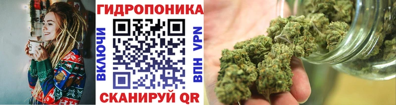 Канабис сатива Белинский